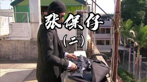 张保仔tvb在线观看,重温经典，感受港剧魅力  第1张